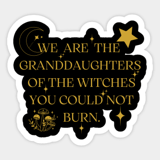 We Are The Granddaughters Of The Witches You Could Not Burn Sticker